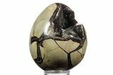 Septarian Dragon Egg Geode - Sparkly Black Crystals #356152-1